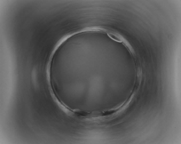 X0000110991054200906261446