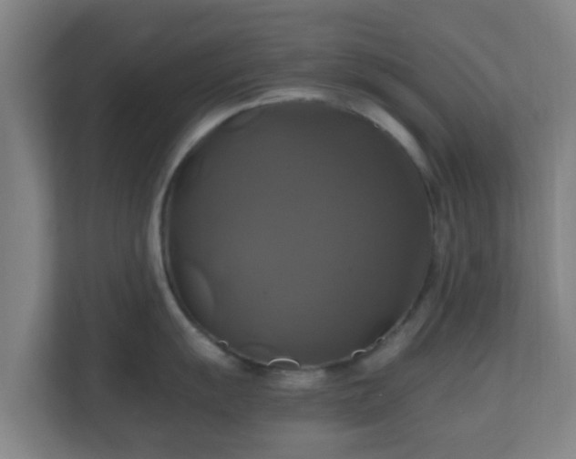 X0000110991055200906261446