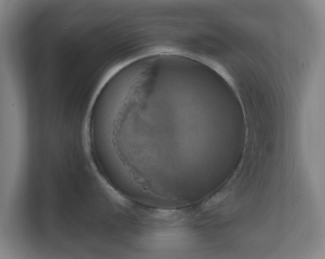 X0000110991056200906261446
