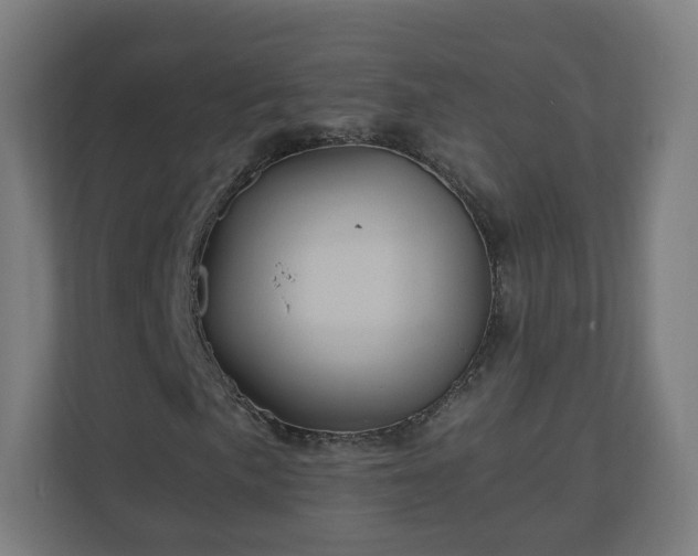 X0000110991057200906261445