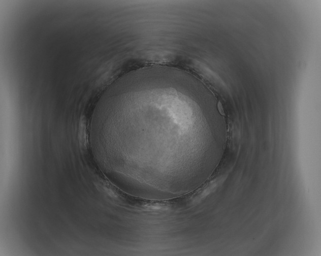 X0000110991058200906261445