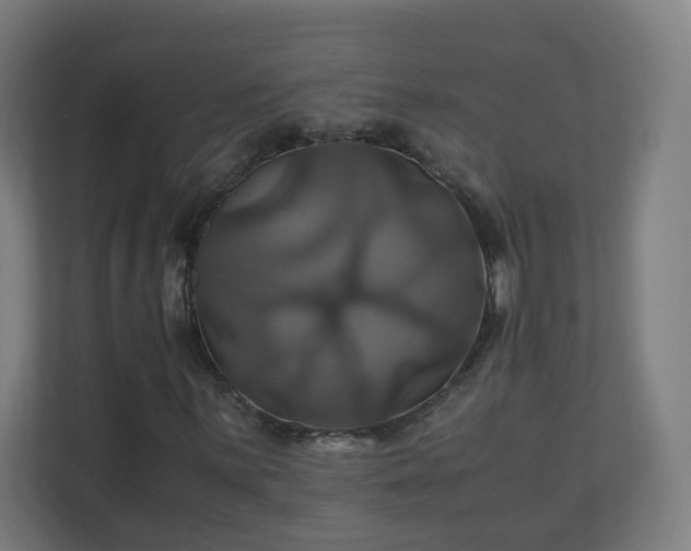 X0000110991059200906261445