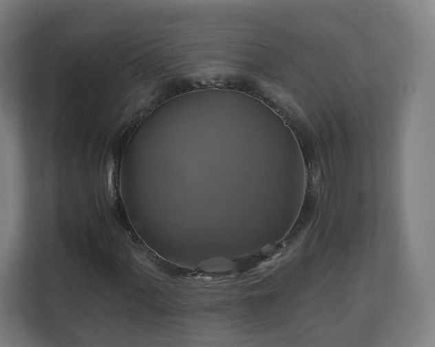 X0000110991060200906261445