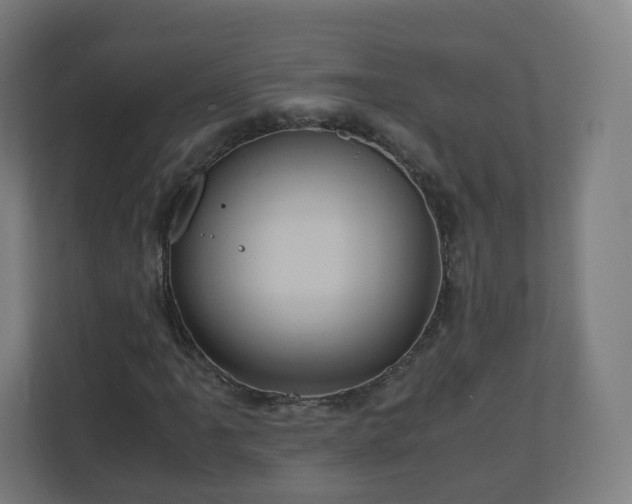 X0000110991061200906261445