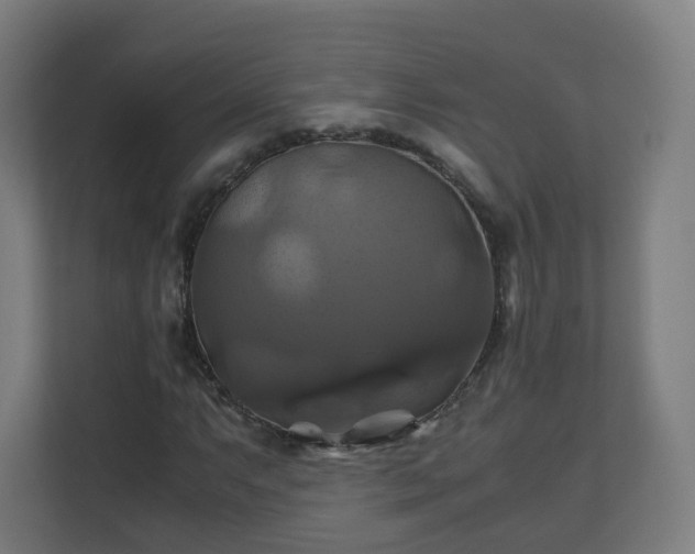 X0000110991063200906261445