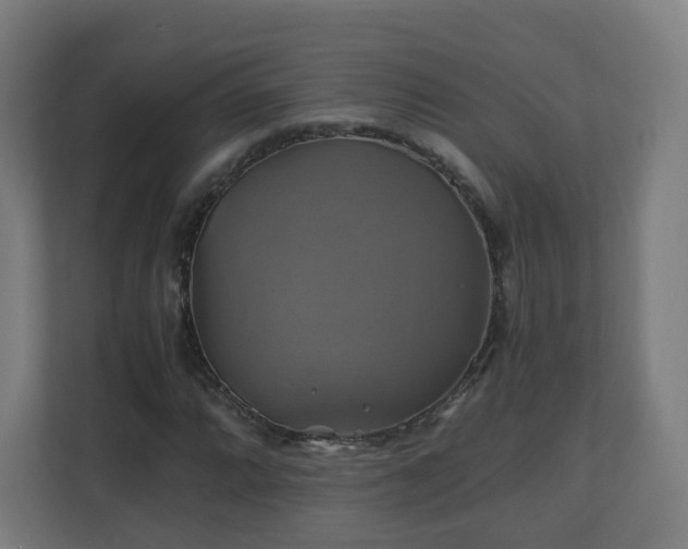 X0000110991064200906261445