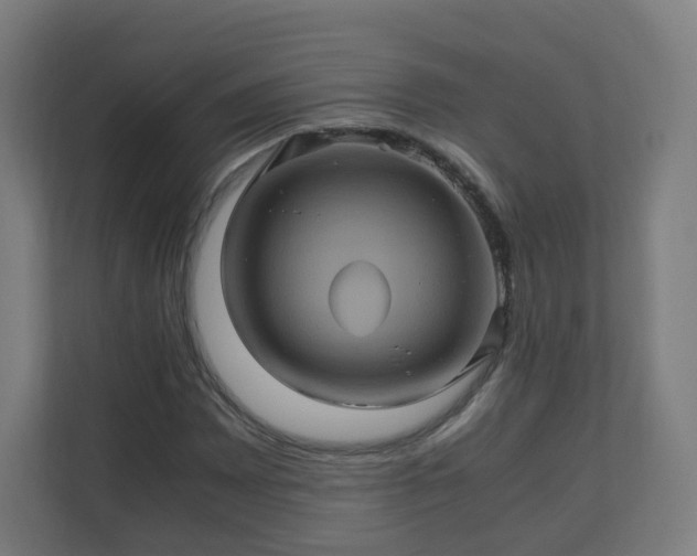 X0000110991065200906261445