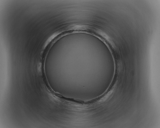 X0000110991066200906261445