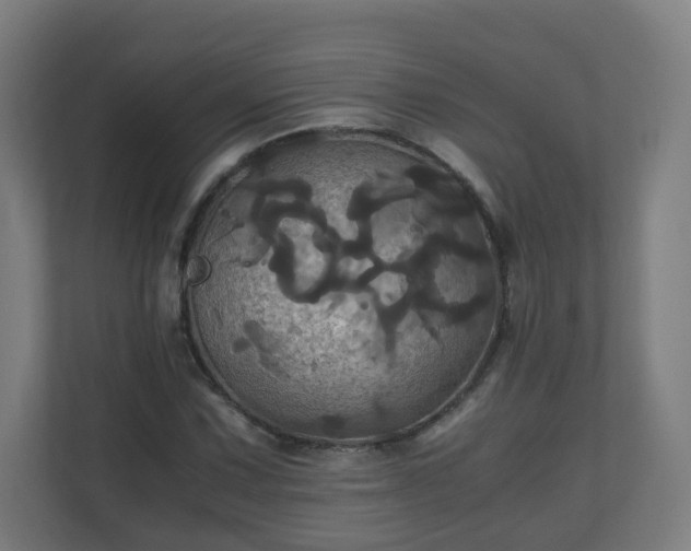 X0000110991067200906261445
