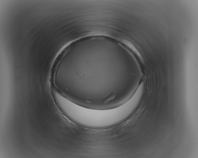 X0000110991068200906261445