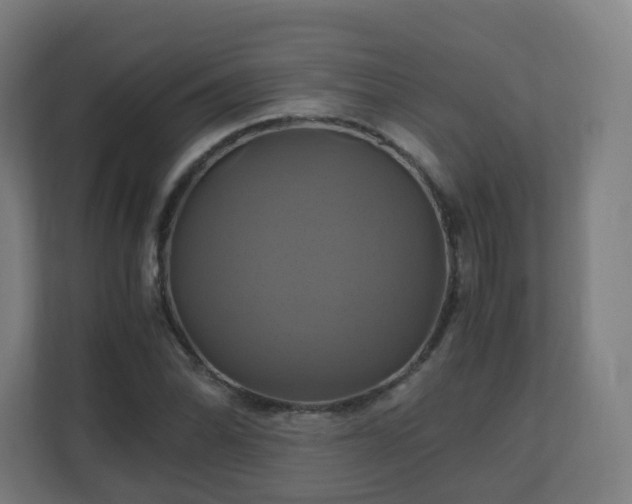 X0000110991070200906261445