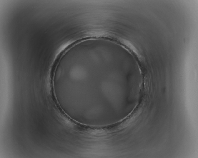 X0000110991071200906261445
