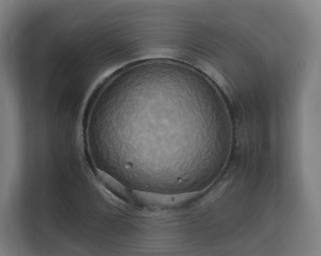 X0000110991072200906261445