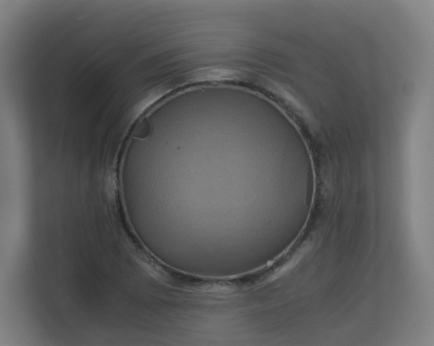 X0000110991073200906261445