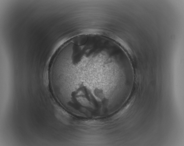 X0000110991075200906261445