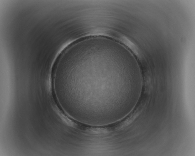 X0000110991076200906261445