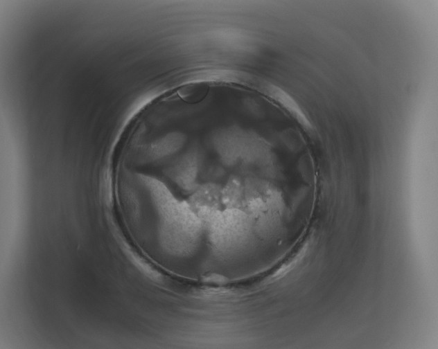 X0000110991079200906261445