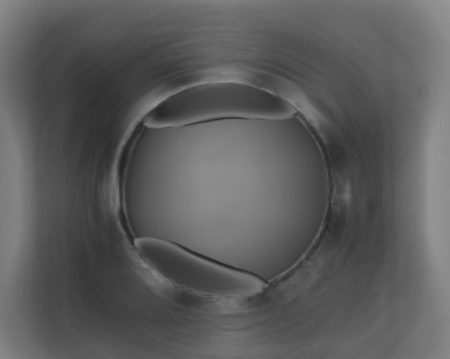 X0000110991080200906261445