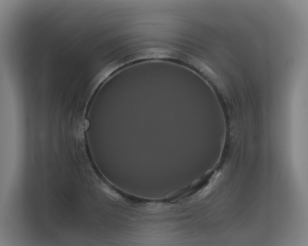 X0000110991081200906261445