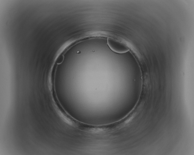 X0000110991082200906261445