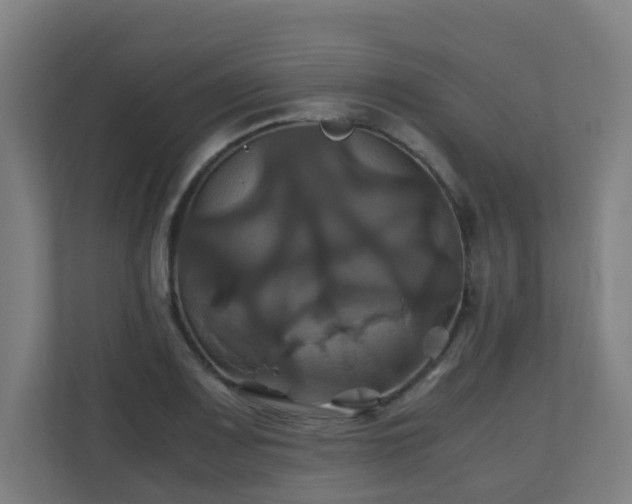 X0000110991083200906261445