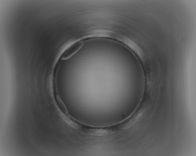 X0000110991085200906261445