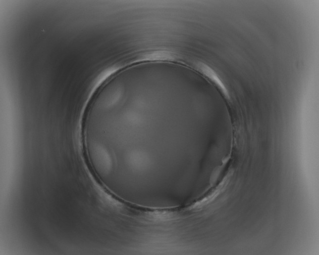 X0000110991087200906261445