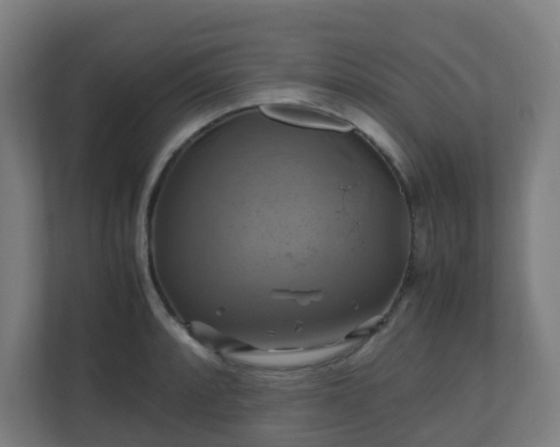 X0000110991088200906261445