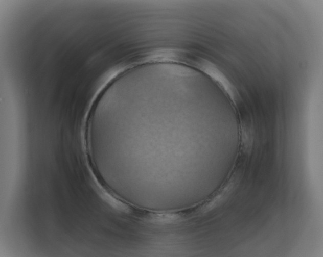 X0000110991090200906261445