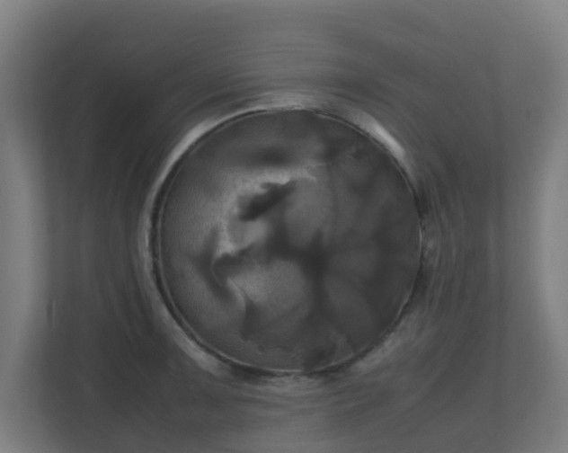 X0000110991091200906261445