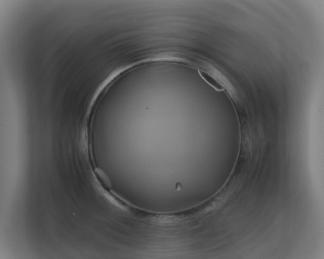 X0000110991092200906261445