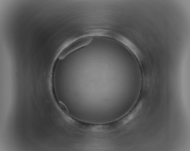 X0000110991093200906261445