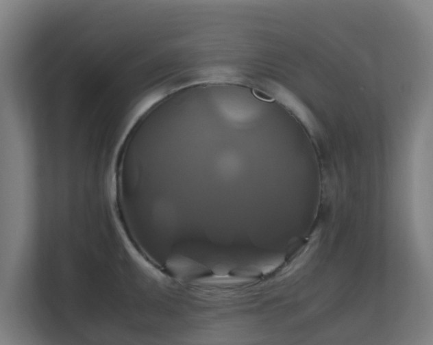 X0000110991095200906261444