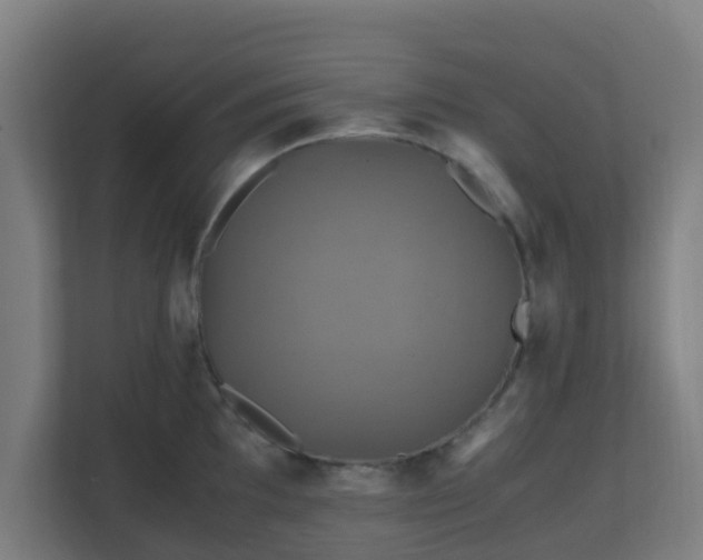 X0000110991097200906261444