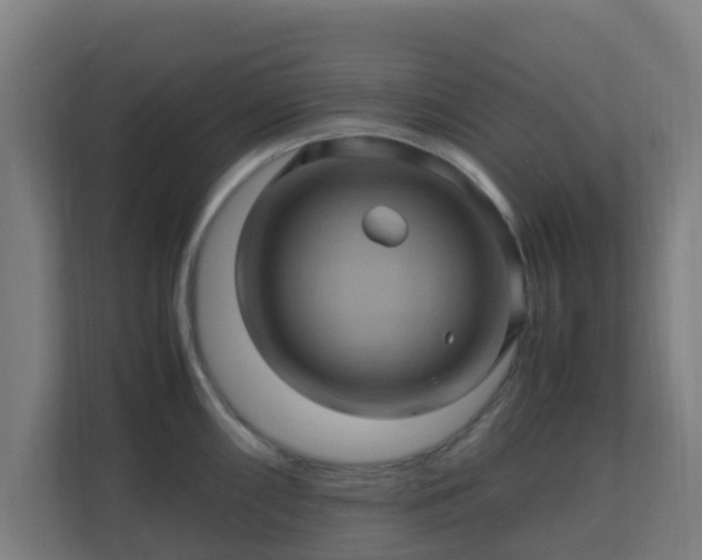 X0000110991098200906261444