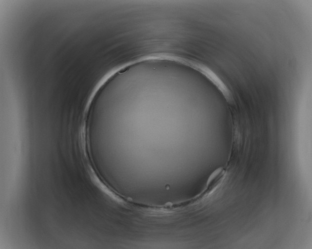 X0000110991100200906261444