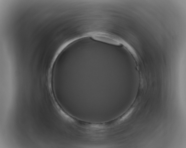 X0000110991102200906261444