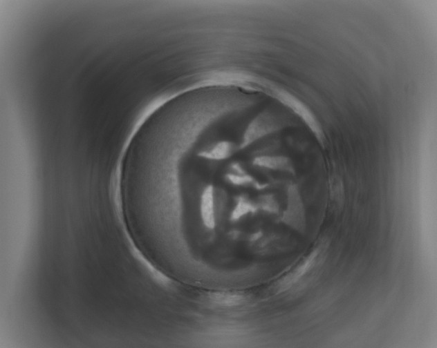 X0000110991103200906261444