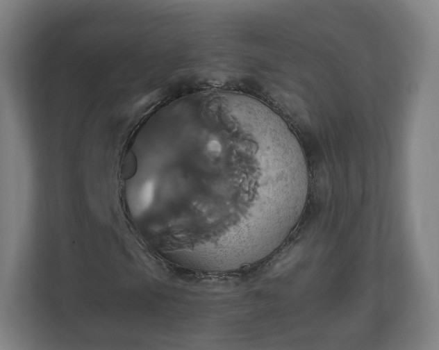 X0000110991105200906261444