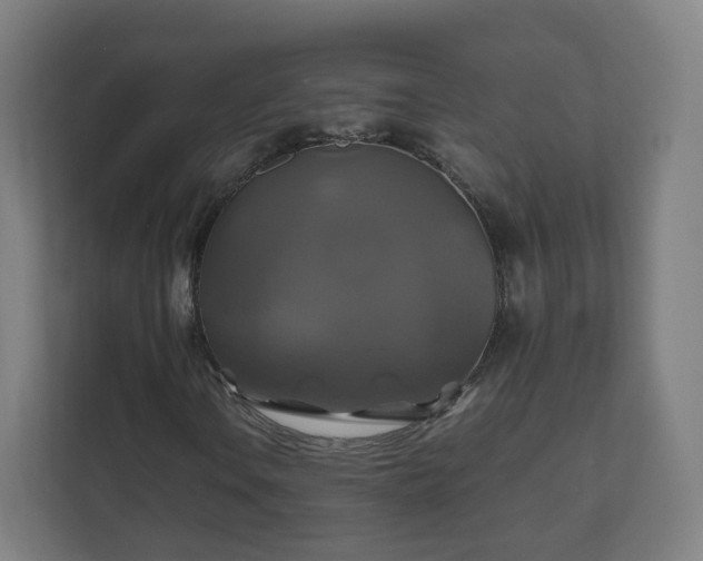 X0000110991106200906261444
