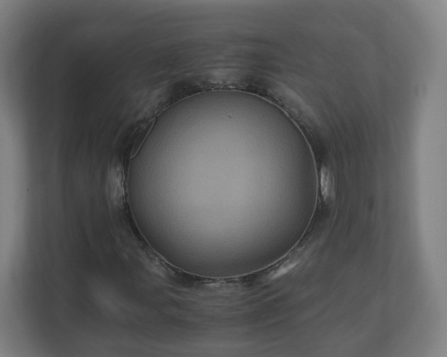 X0000110991107200906261444