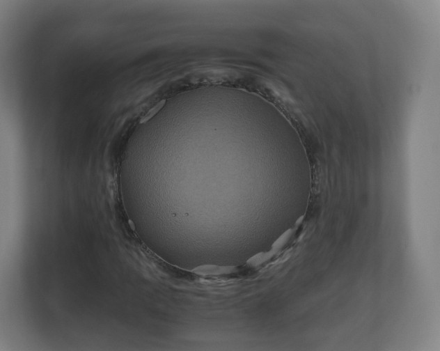 X0000110991109200906261444