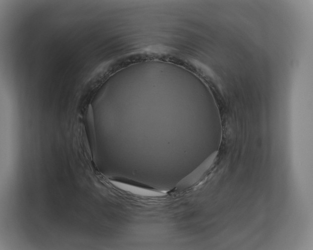 X0000110991110200906261444