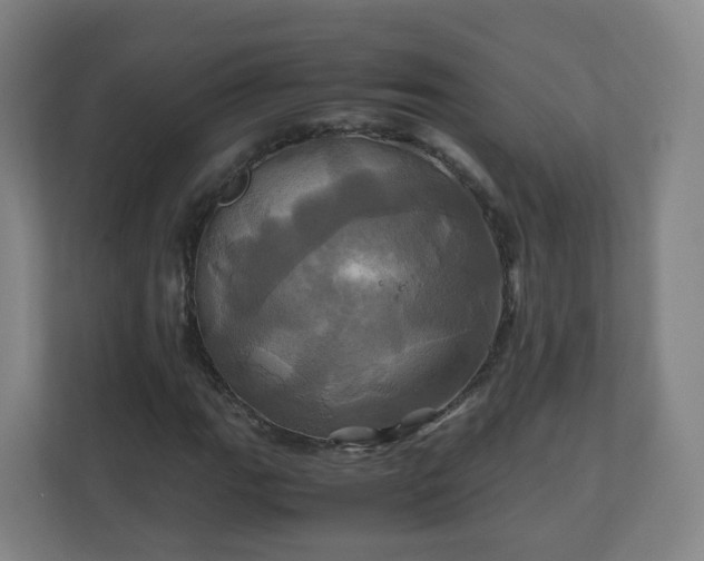 X0000110991111200906261444