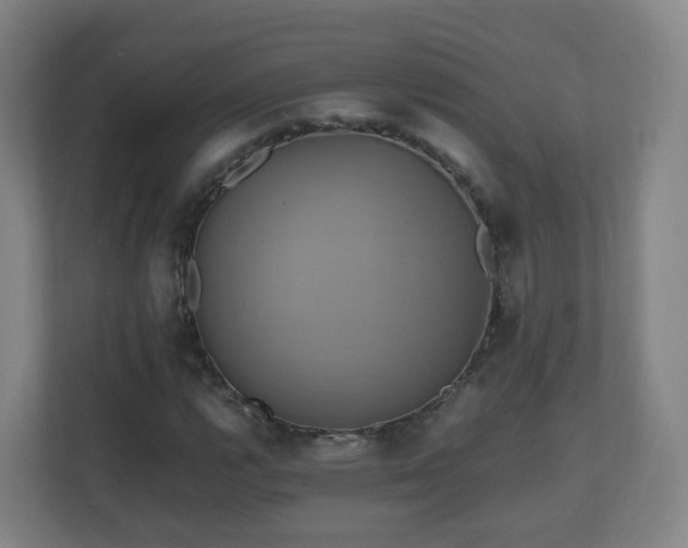 X0000110991112200906261444