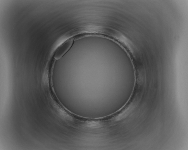 X0000110991114200906261444
