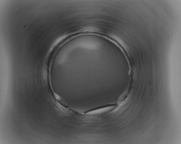 X0000110991115200906261444