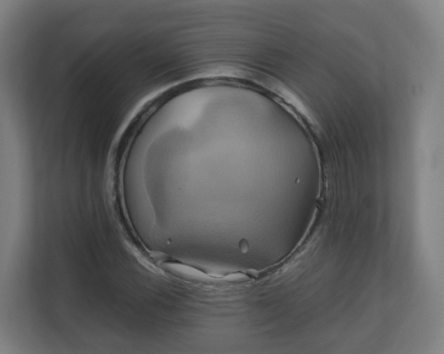 X0000110991116200906261444