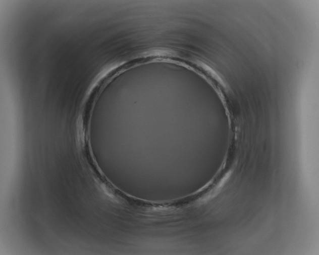 X0000110991117200906261444