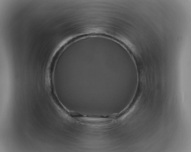X0000110991118200906261444